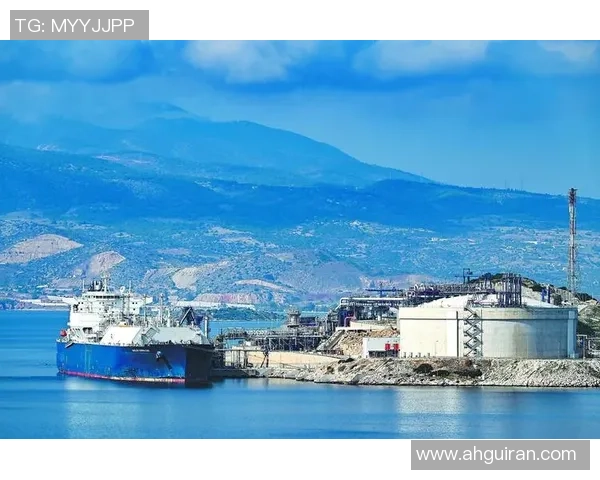 深度对话：杨娜在CSGO世界中的成长与挑战之路